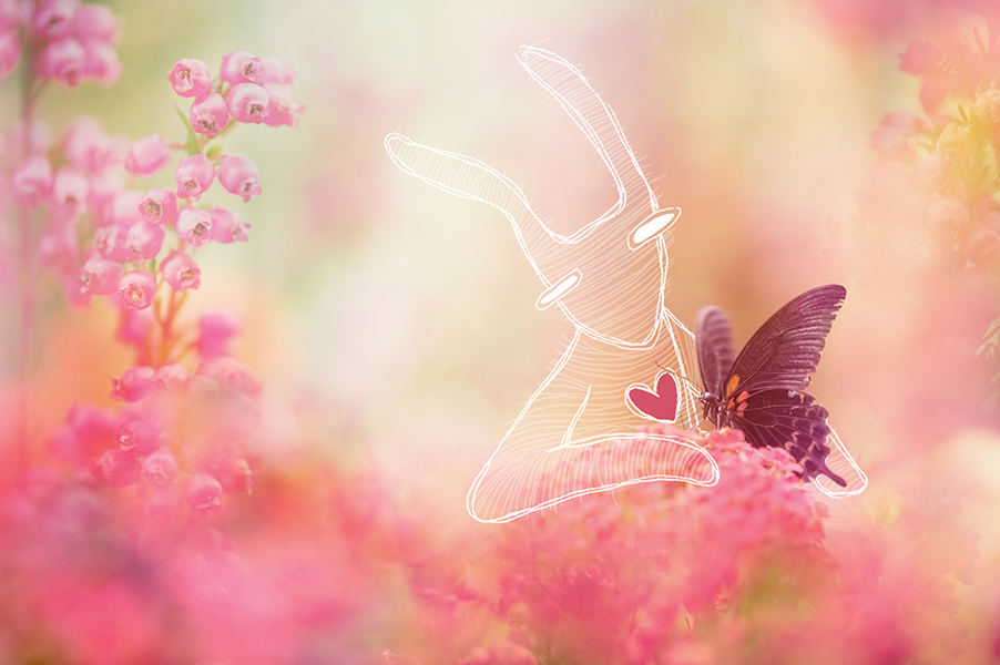 istock butterfly2 98